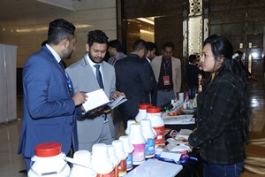 Octalife Stall